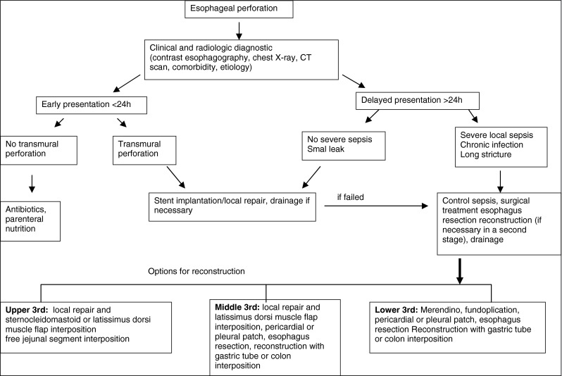 Οισοφαγικό (πράσινο βέλος) και θωρακικής αορτής (κόκκινο βέλος) stent σε θέση (Ευγενική παραχώρηση Dr. V. Penopoulos)