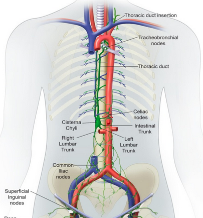Καθετηριασμός θωρακικού πόρου και ένεση κόλλας (Ευγενική παραχώρηση Dr. V. Penopoulos)