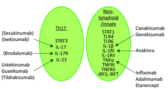 Περιστοματικό γαγγραινώδες πυόδερμα (Ευγενική παραχώρηση Dr. V. Penopoulos)