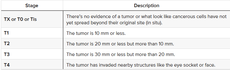 Χρώση αιματοξυλίνης-ηωσίνης. Παρουσία διάσπαρτων άτυπων μιτωτικών φιγούρων, νεκρωτικών νεοπλασματικών κυττάρων και τυπικής σμηγματώδους διαφοροποίησης με κενοτοπιώδες κυτταρόπλασμα και κυματοειδή πυρηνικά περιγράμματα (Ευγενική παραχώρηση Dr. V. Penopoulos)
